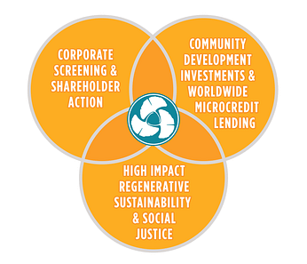 The socially responsible and impact investing movement